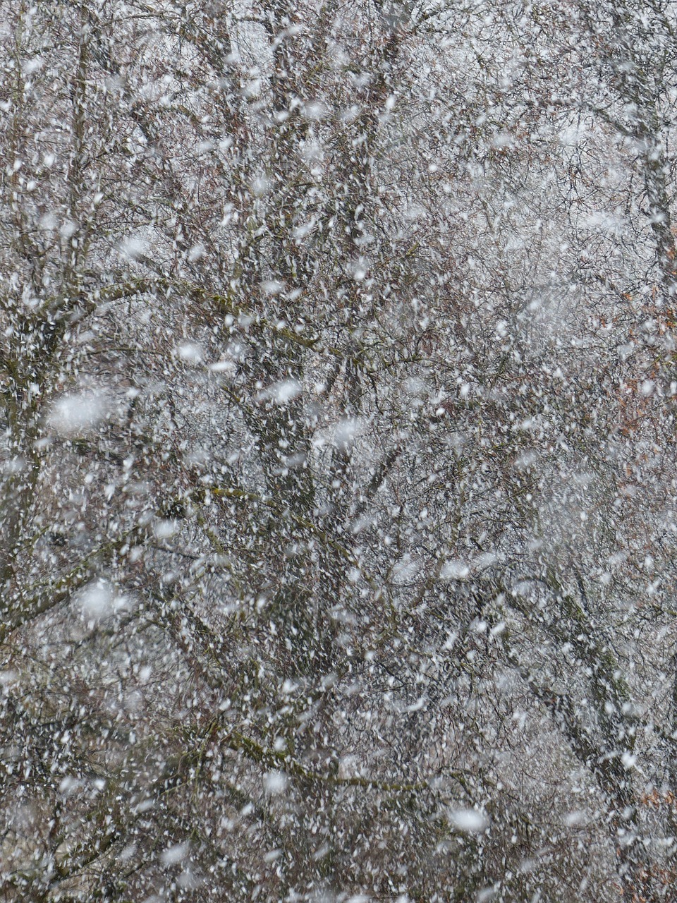 哈尔滨雪舞盛宴，纯净无暇的冬日奇景